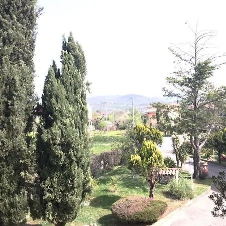 Celani